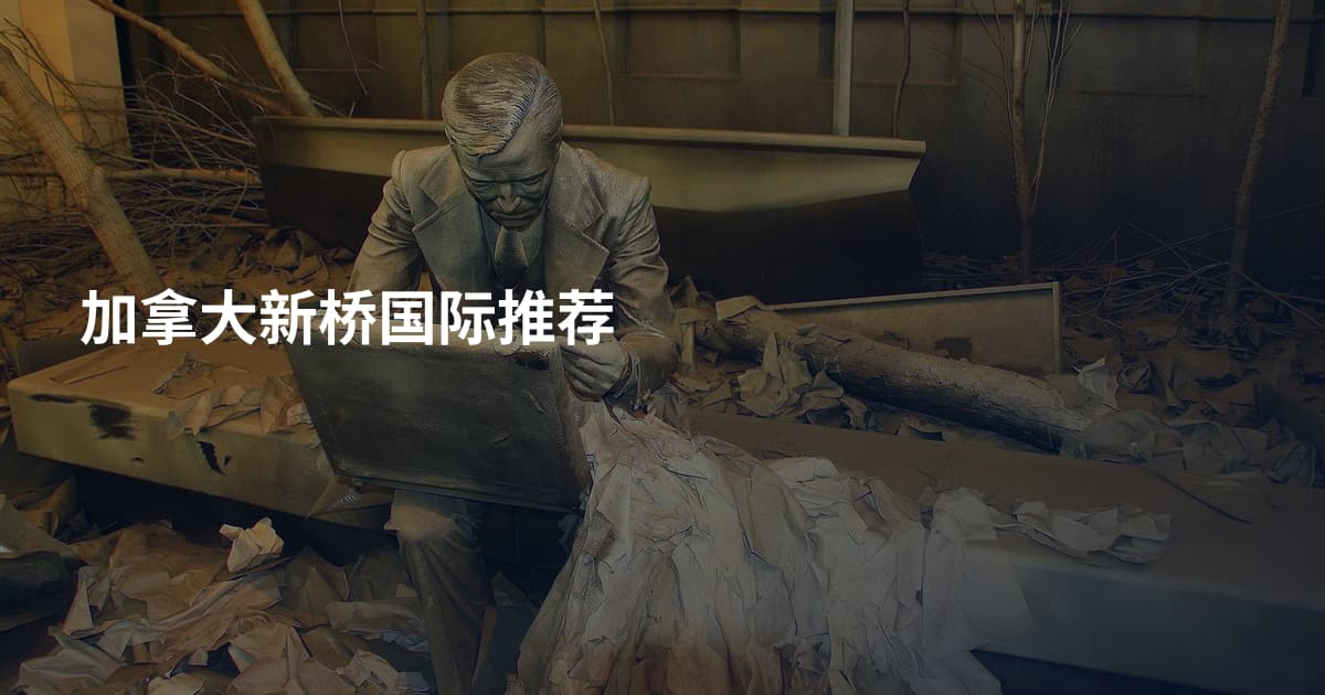 加拿大新桥国际推荐