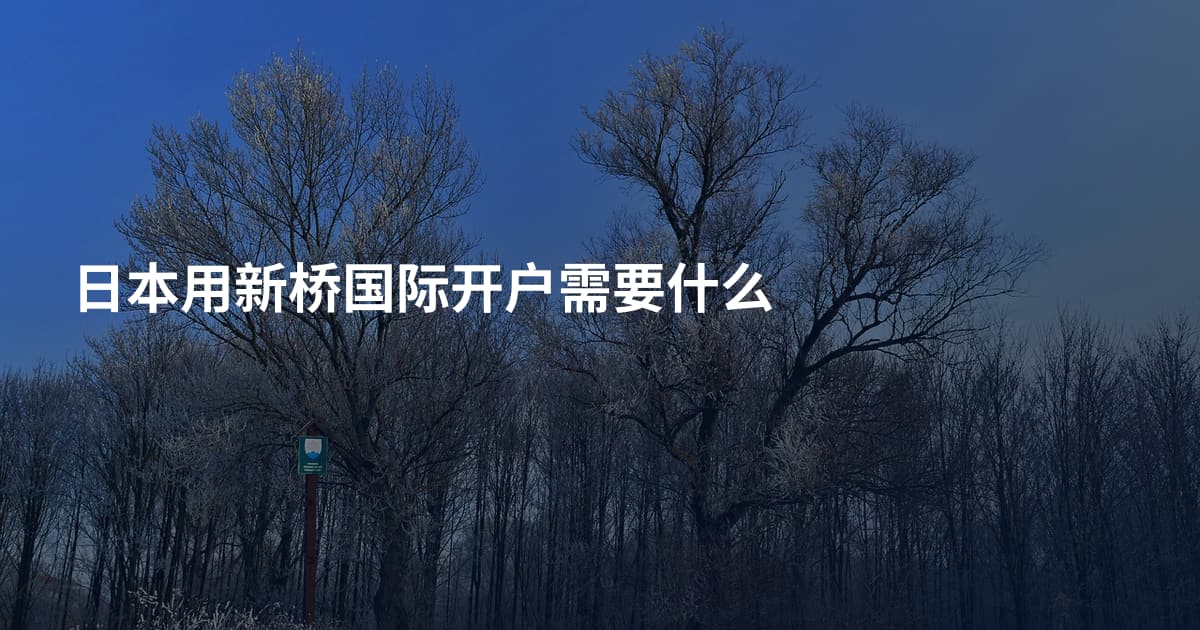 日本用新桥国际开户需要什么