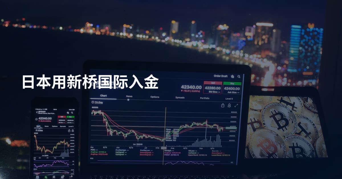 日本用新桥国际入金