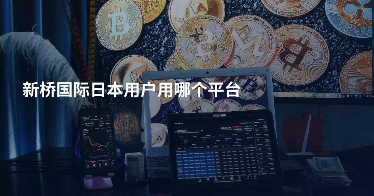 新桥国际日本用户用哪个平台