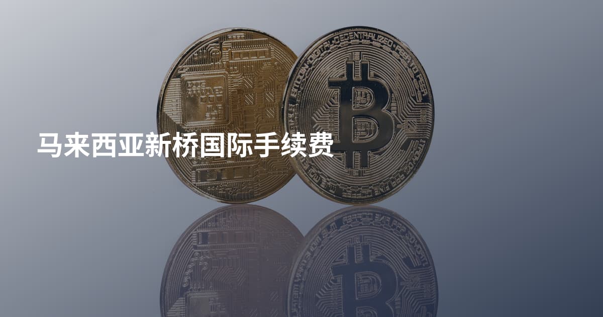 马来西亚新桥国际手续费