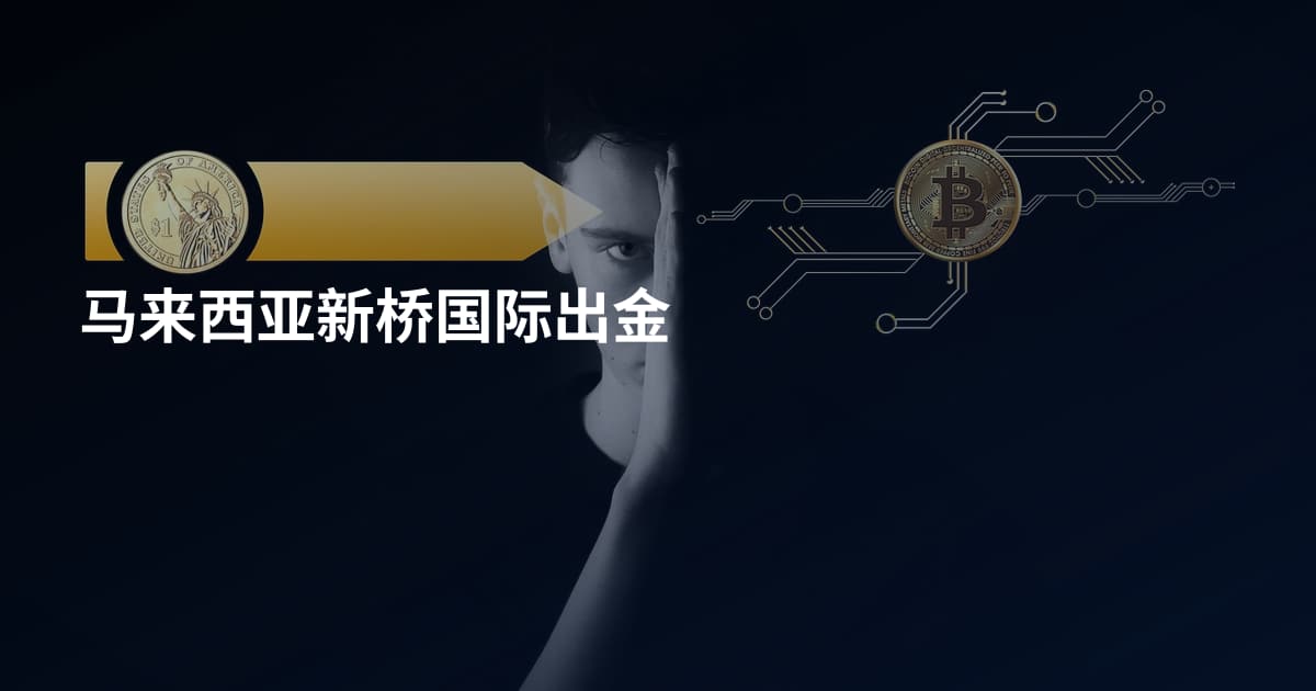 马来西亚新桥国际出金