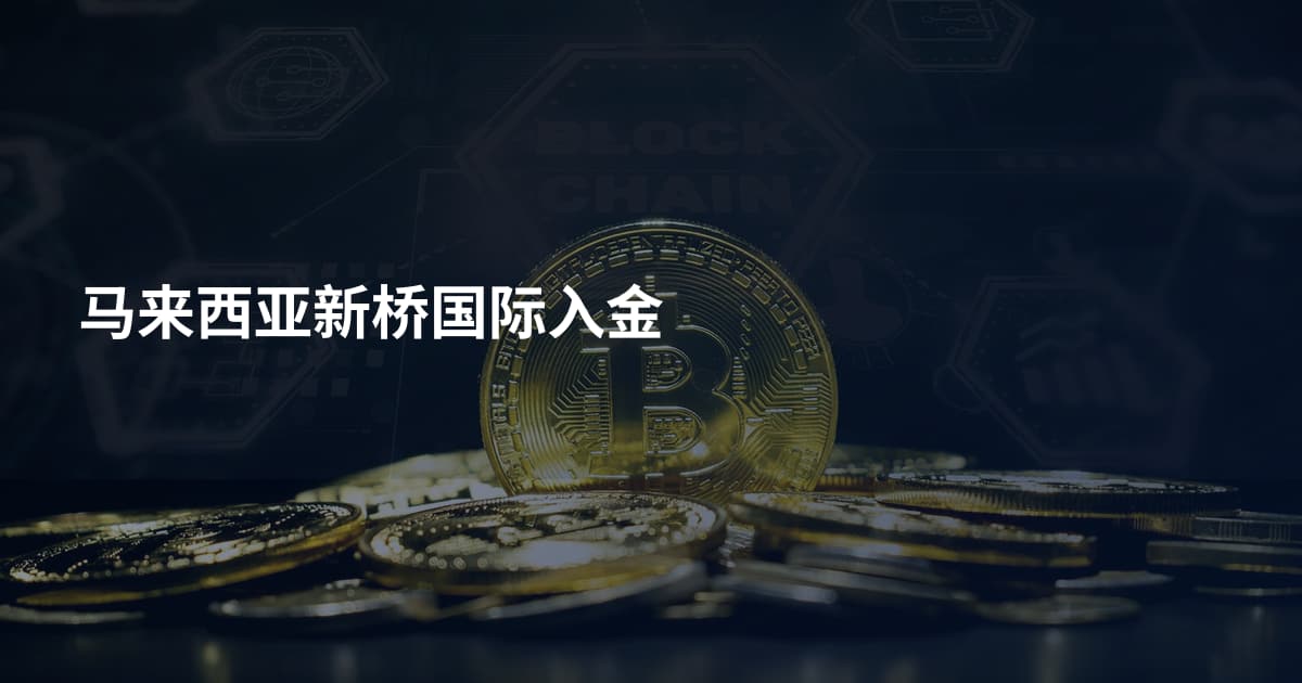 马来西亚新桥国际入金