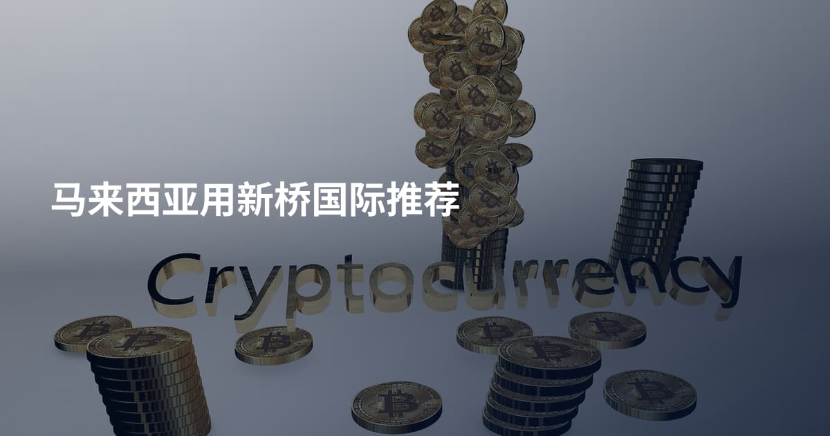 马来西亚用新桥国际推荐