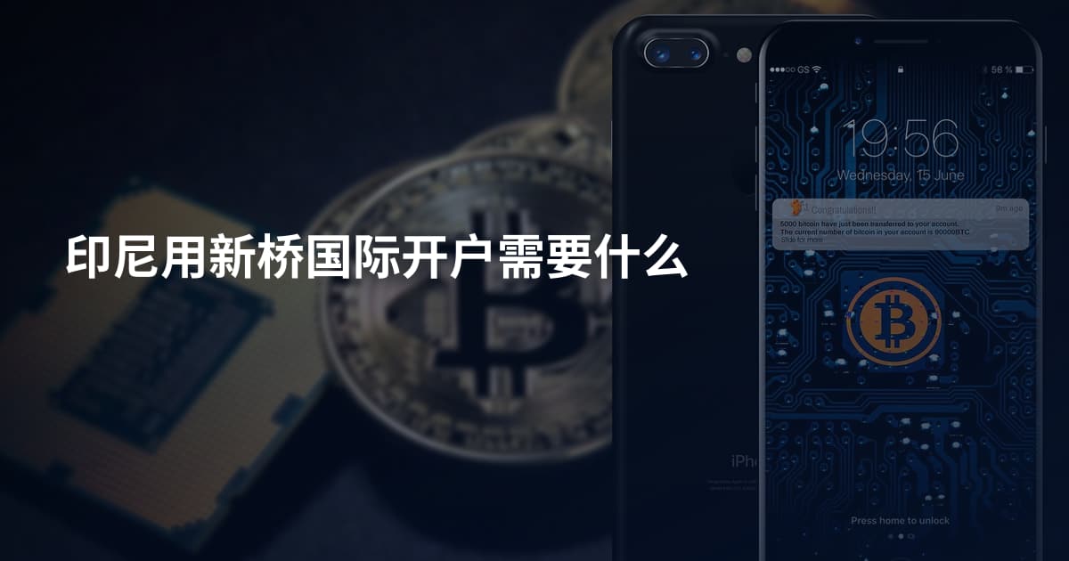 印尼用新桥国际开户需要什么