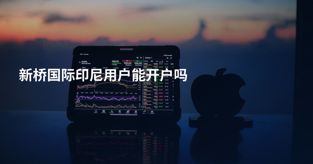 新桥国际印尼用户能开户吗