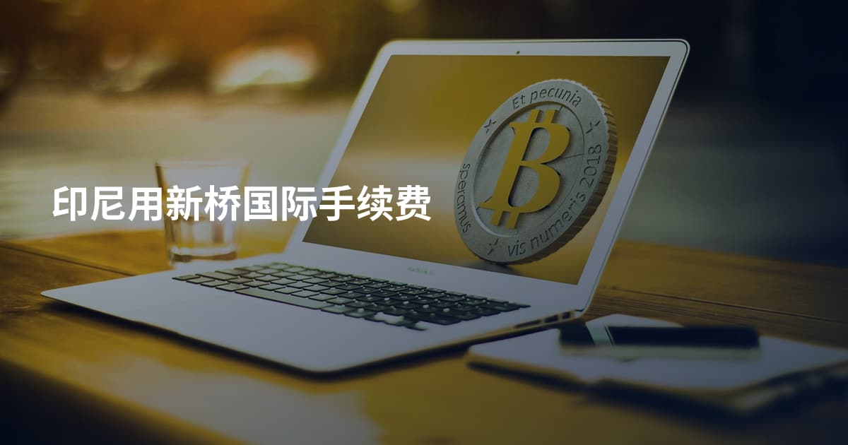 印尼用新桥国际手续费