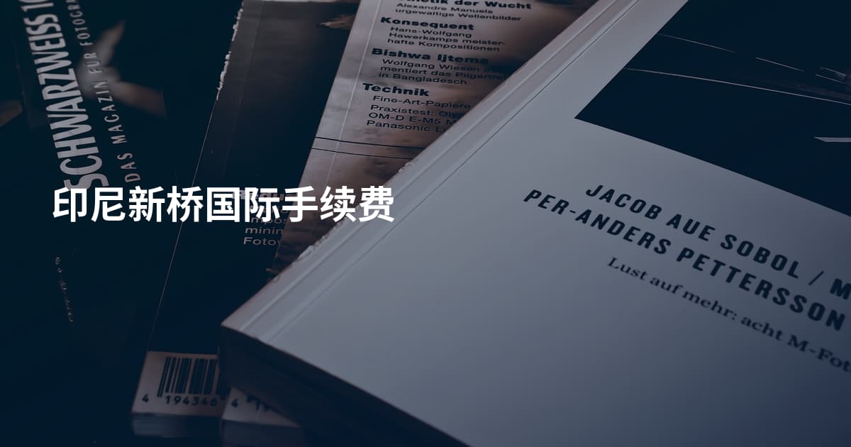 印尼新桥国际手续费