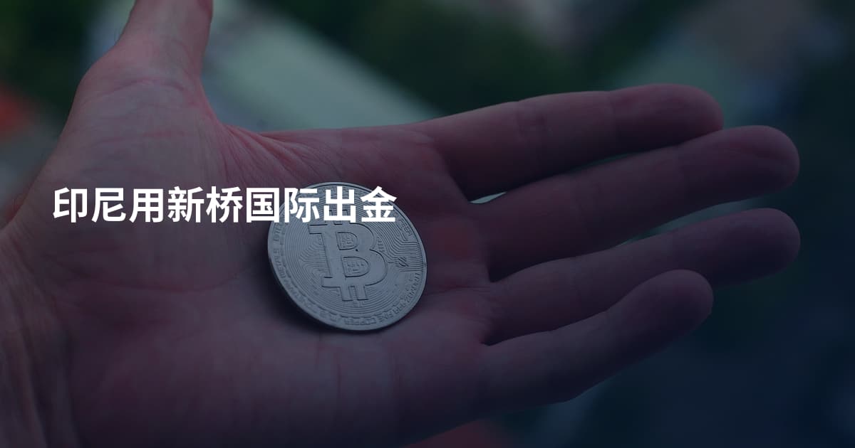 印尼用新桥国际出金