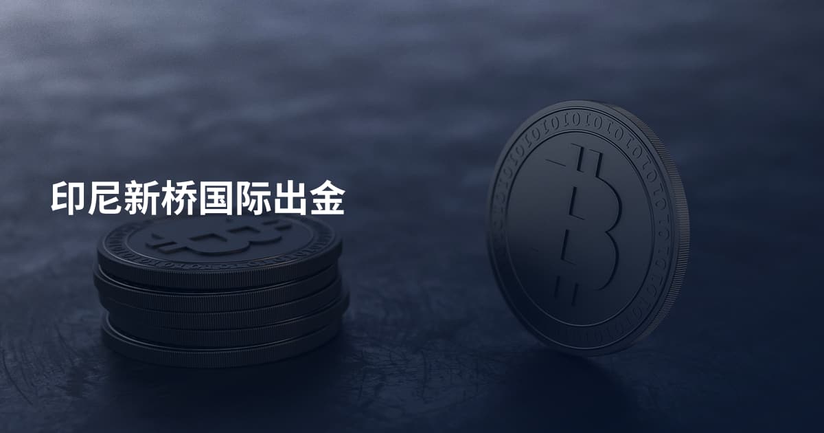 印尼新桥国际出金