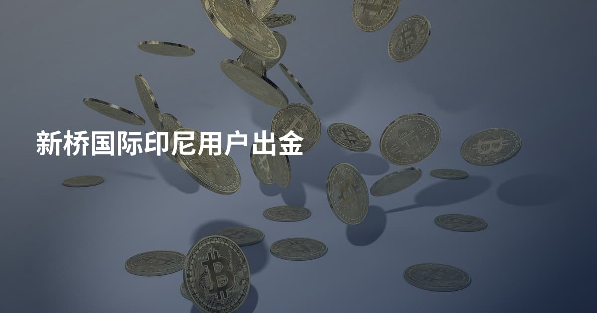 新桥国际印尼用户出金