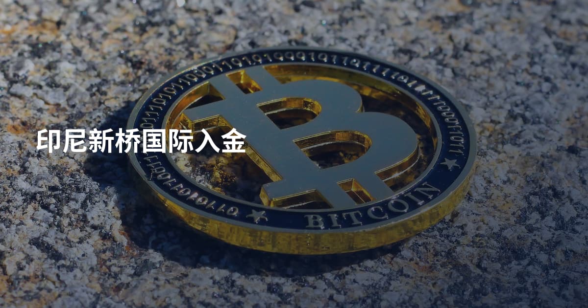 印尼新桥国际入金