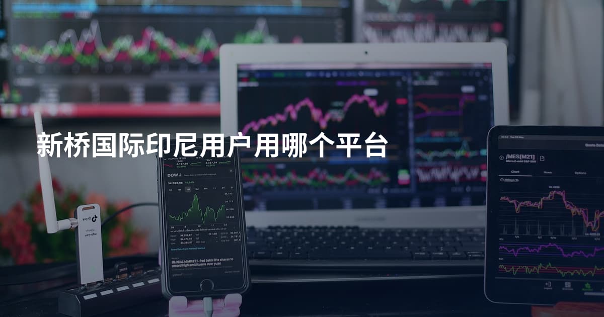 新桥国际印尼用户用哪个平台