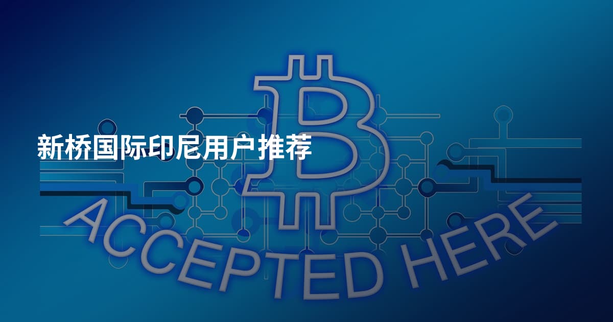 新桥国际印尼用户推荐