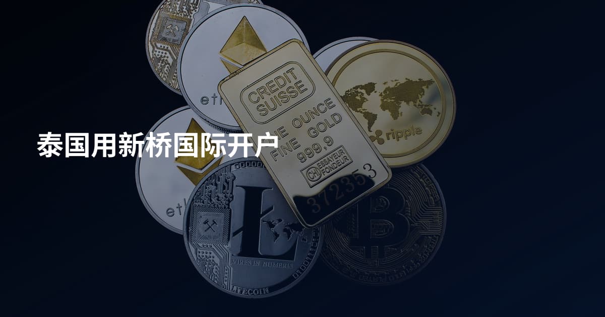 泰国用新桥国际开户