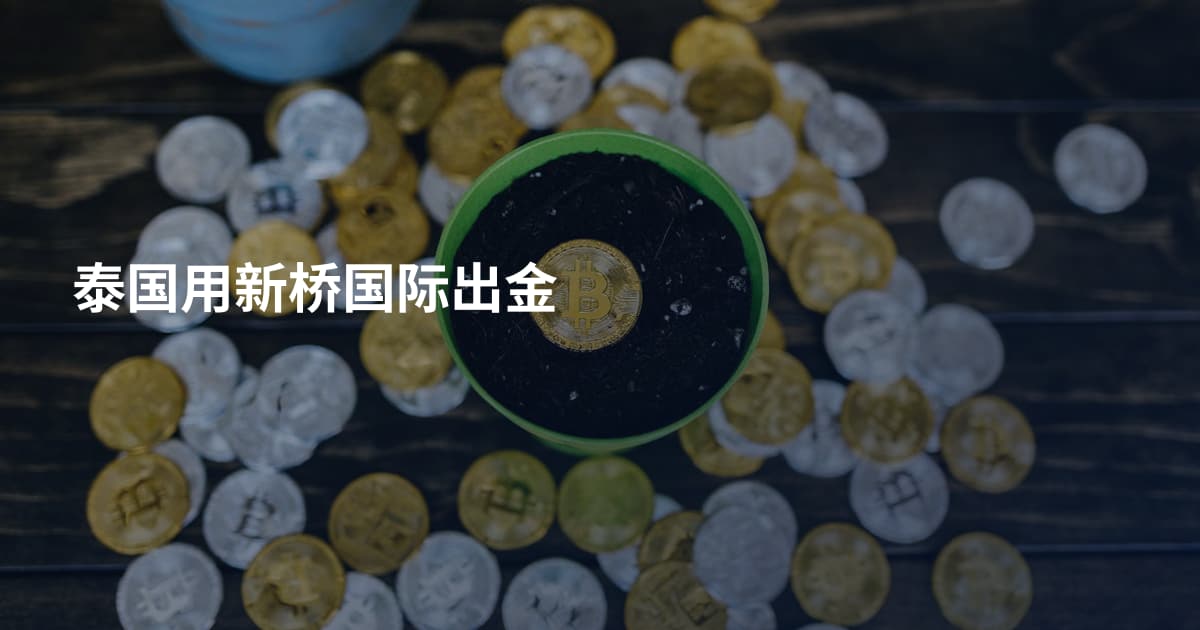 泰国用新桥国际出金