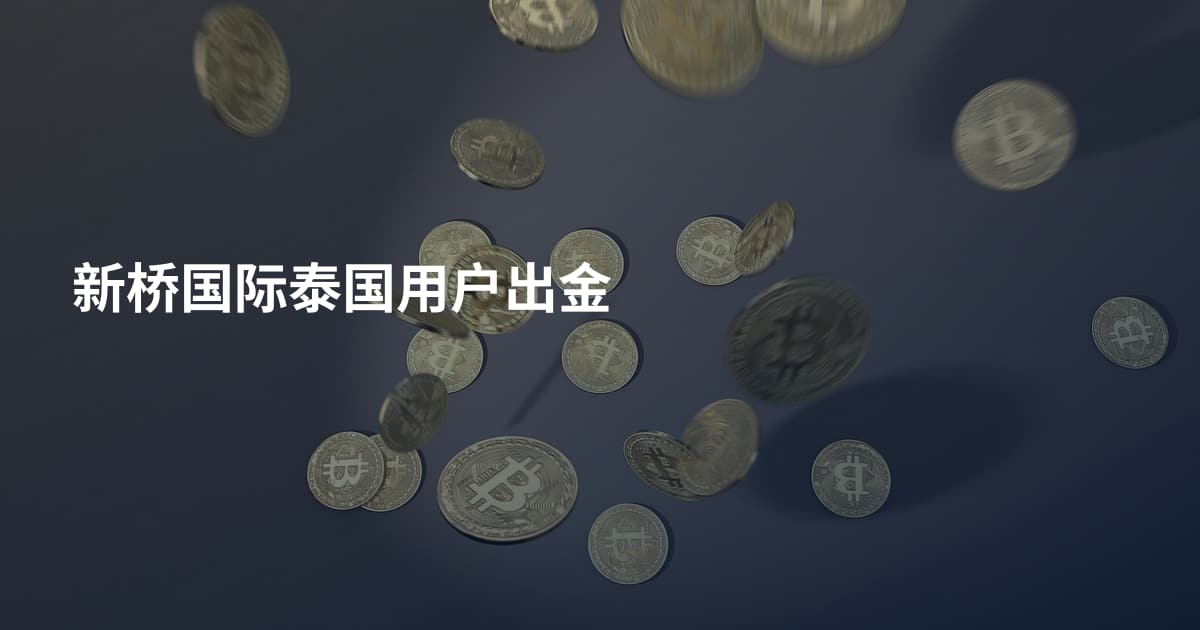 新桥国际泰国用户出金