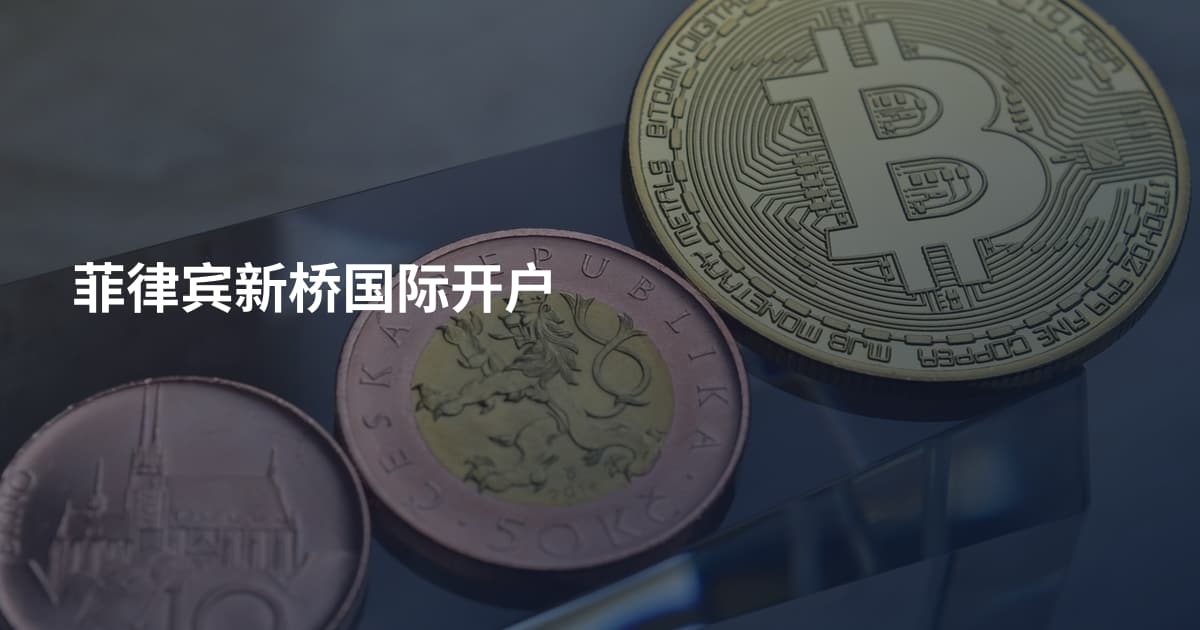 菲律宾新桥国际开户