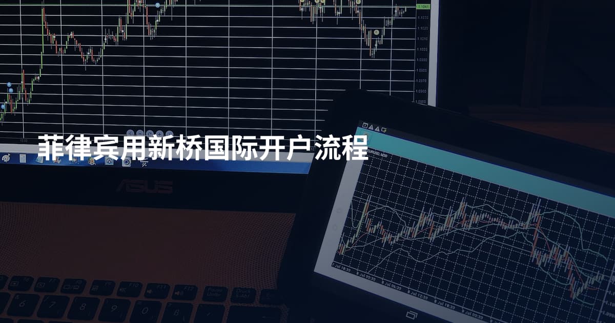 菲律宾用新桥国际开户流程