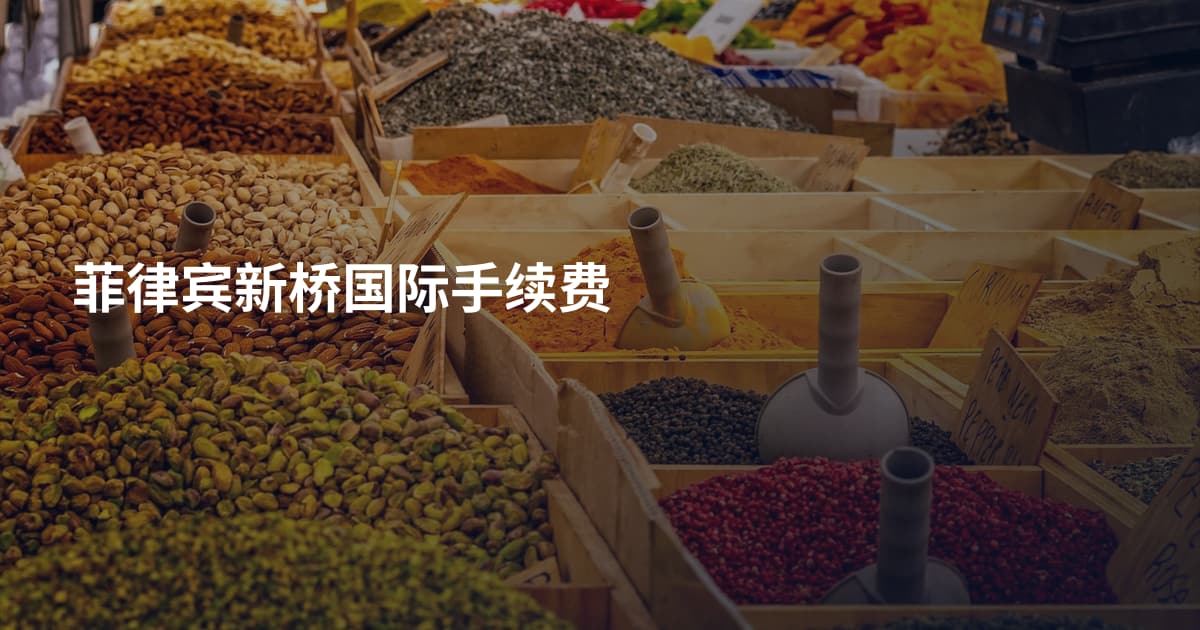 菲律宾新桥国际手续费