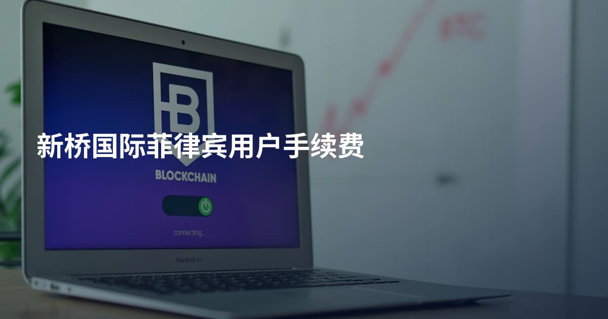 新桥国际菲律宾用户手续费