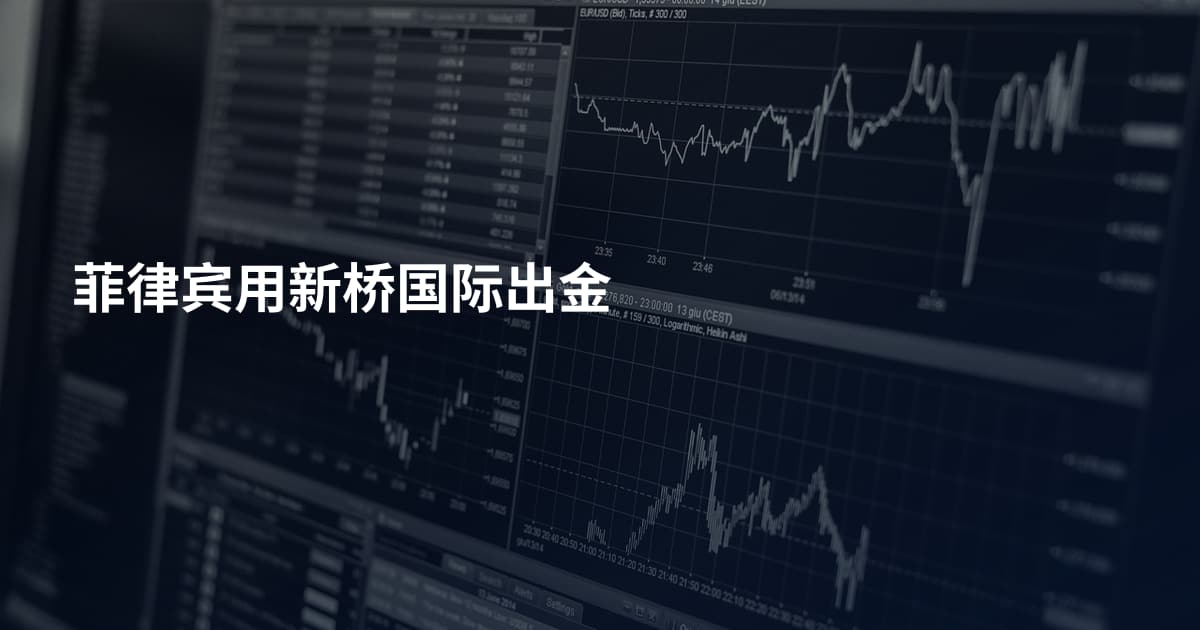 菲律宾用新桥国际出金
