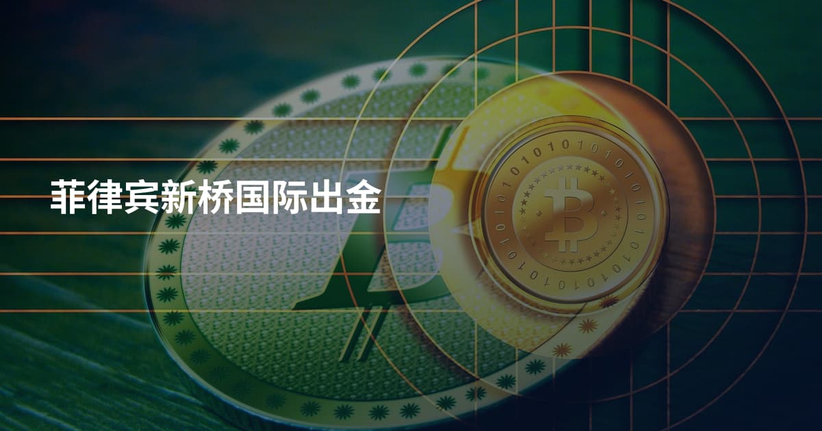 菲律宾新桥国际出金