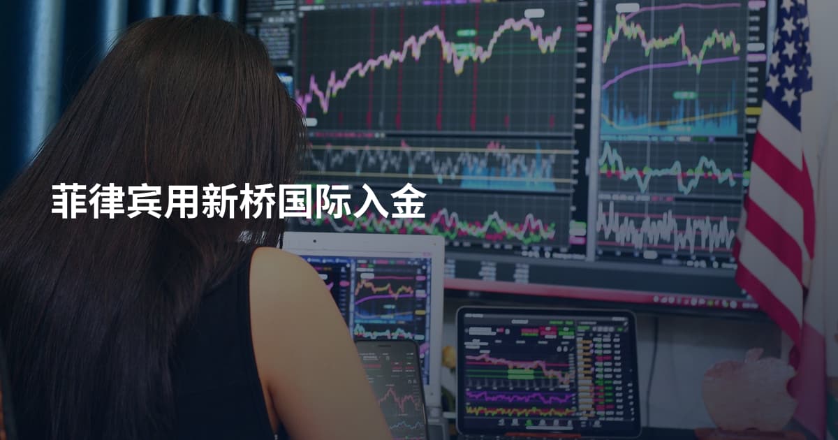 菲律宾用新桥国际入金