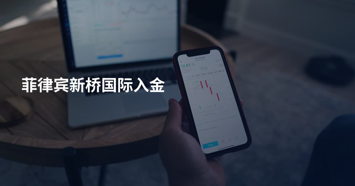 菲律宾新桥国际入金
