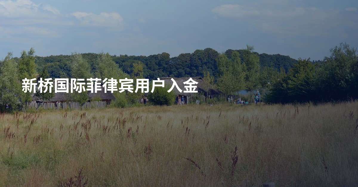 新桥国际菲律宾用户入金