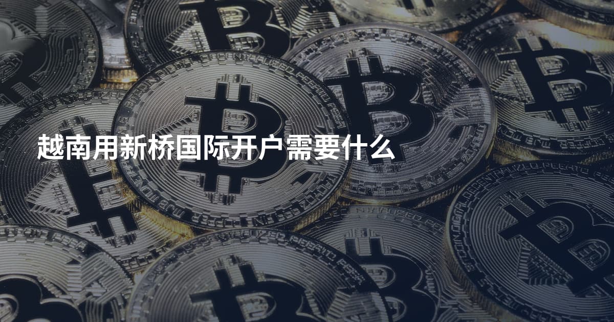 越南用新桥国际开户需要什么