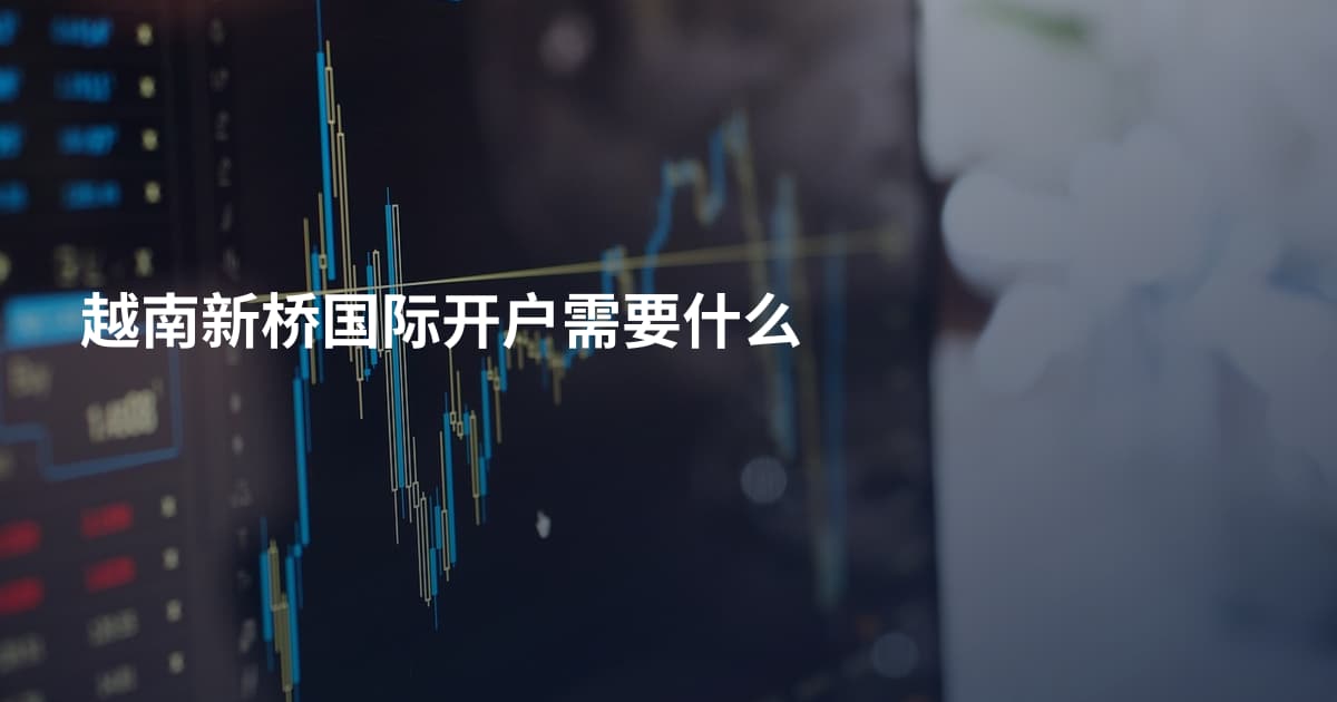 越南新桥国际开户需要什么