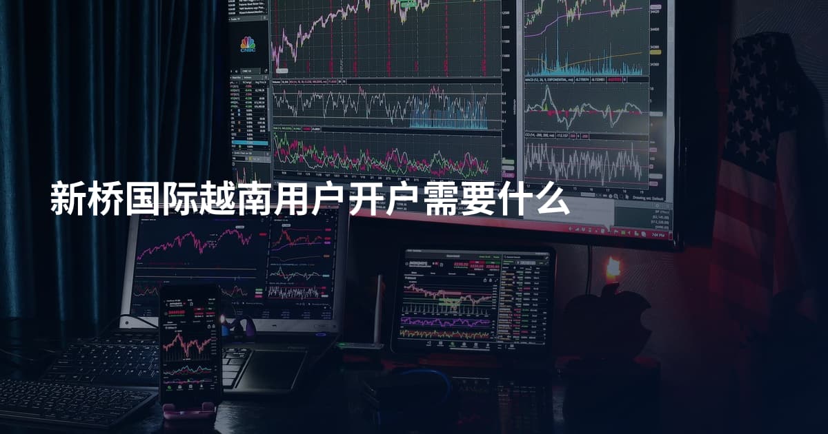 新桥国际越南用户开户需要什么