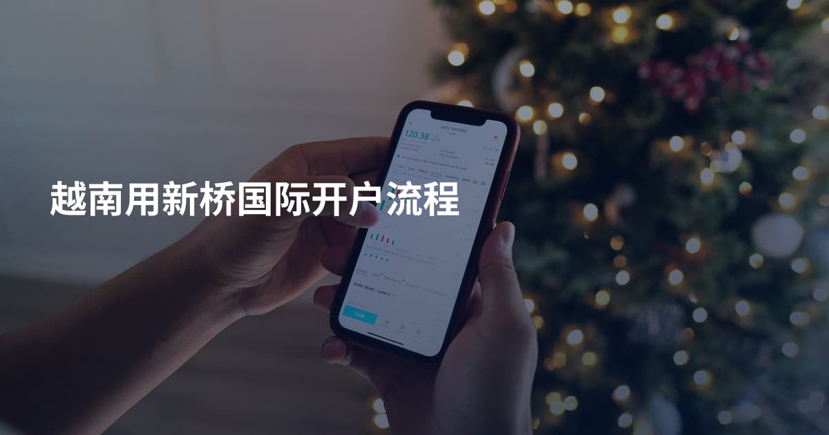 越南用新桥国际开户流程