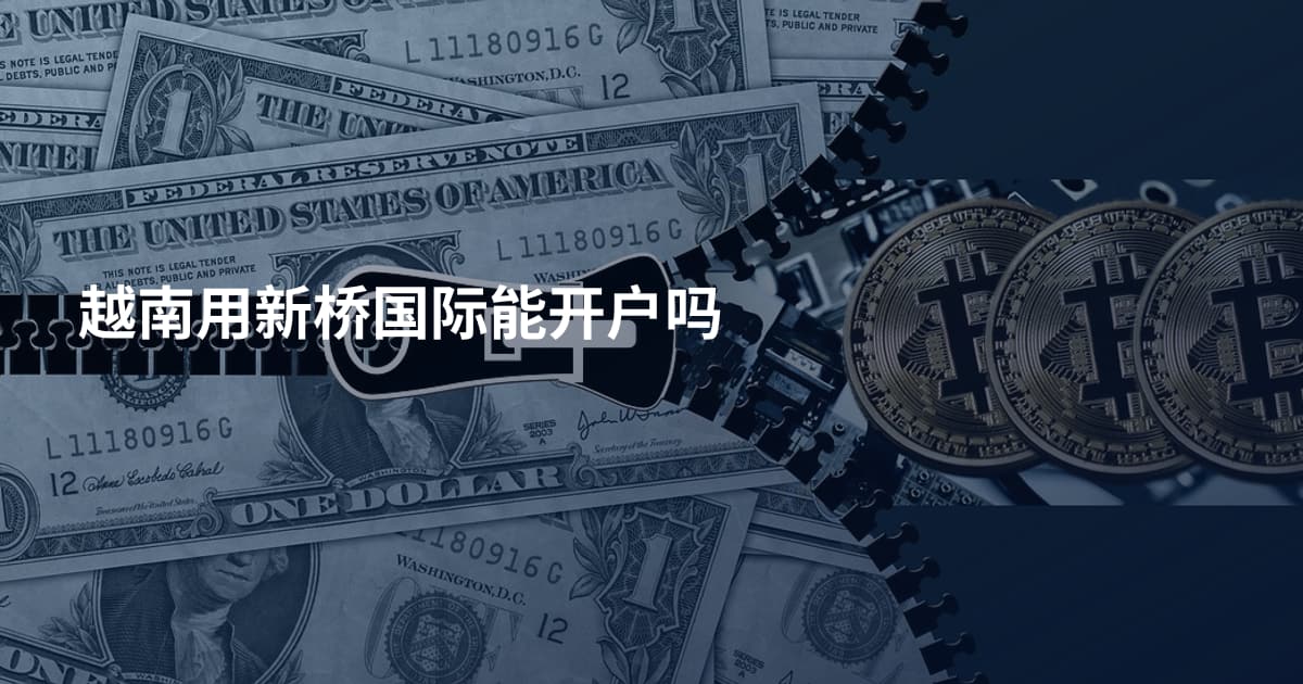 越南用新桥国际能开户吗