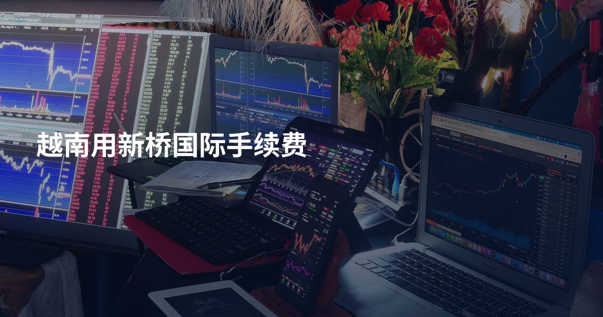 越南用新桥国际手续费