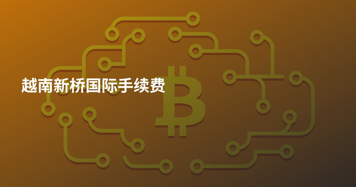 越南新桥国际手续费