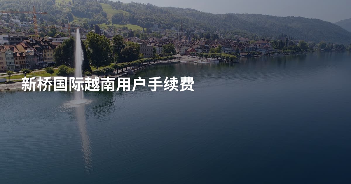 新桥国际越南用户手续费