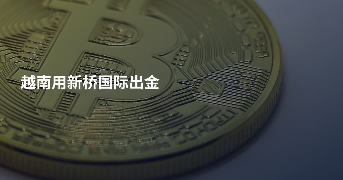 越南用新桥国际出金