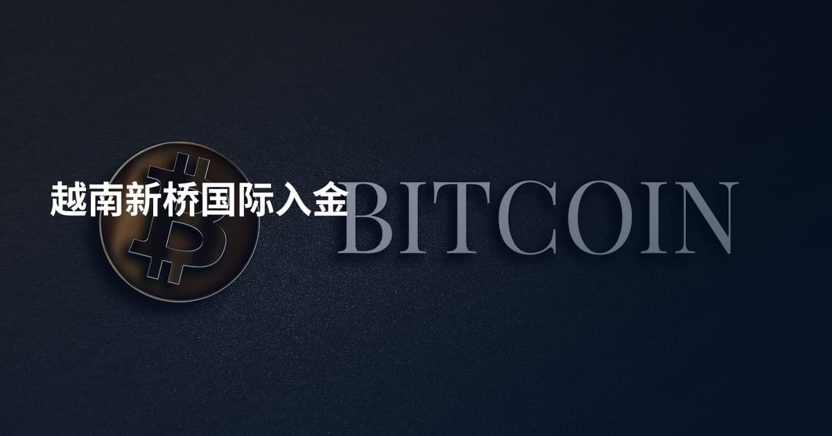 越南新桥国际入金
