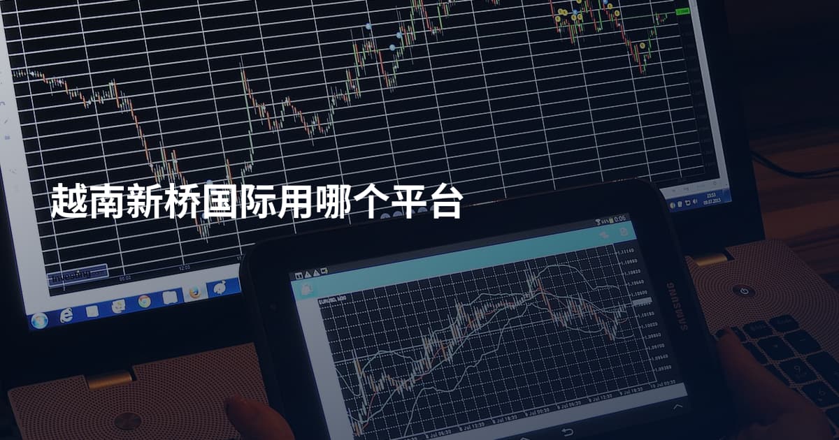 越南新桥国际用哪个平台