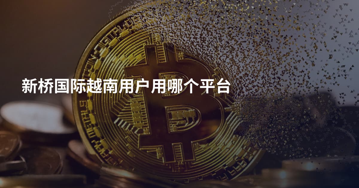 新桥国际越南用户用哪个平台