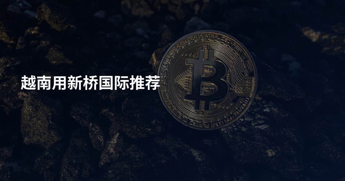 越南用新桥国际推荐
