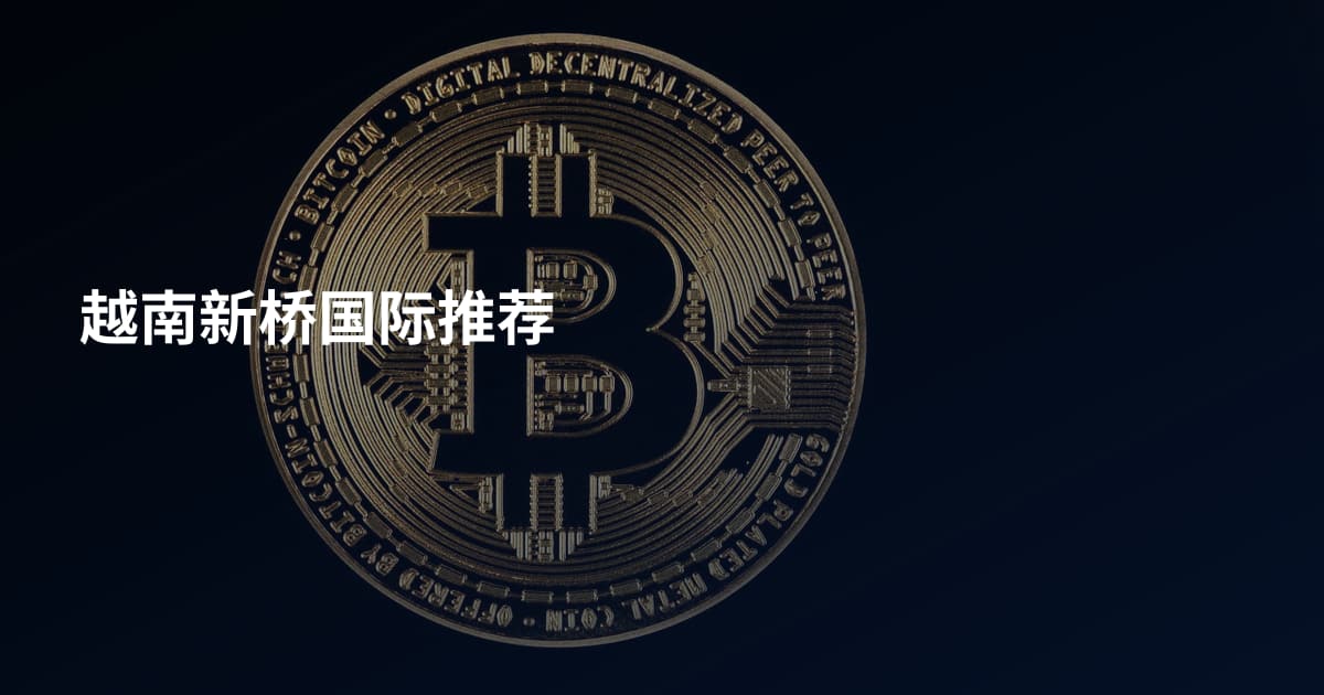 越南新桥国际推荐