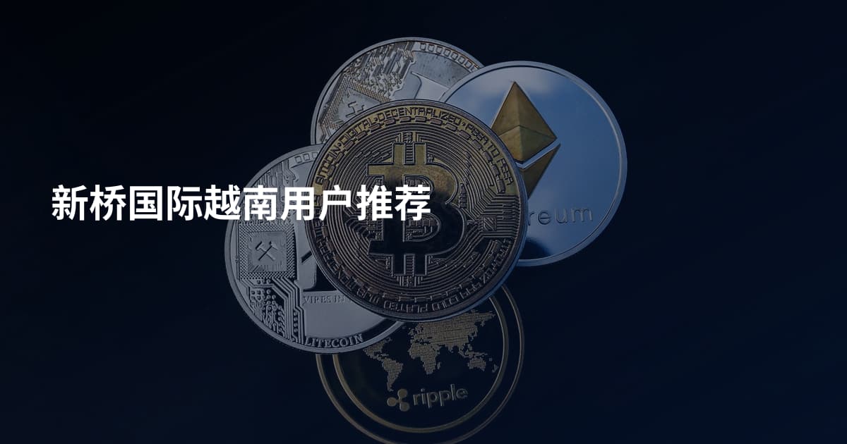 新桥国际越南用户推荐