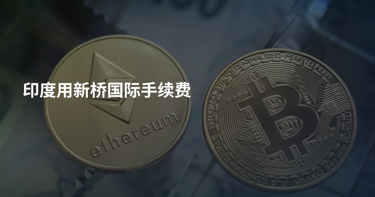 印度用新桥国际手续费