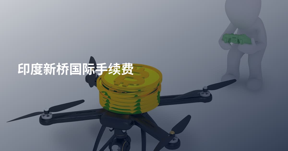 印度新桥国际手续费
