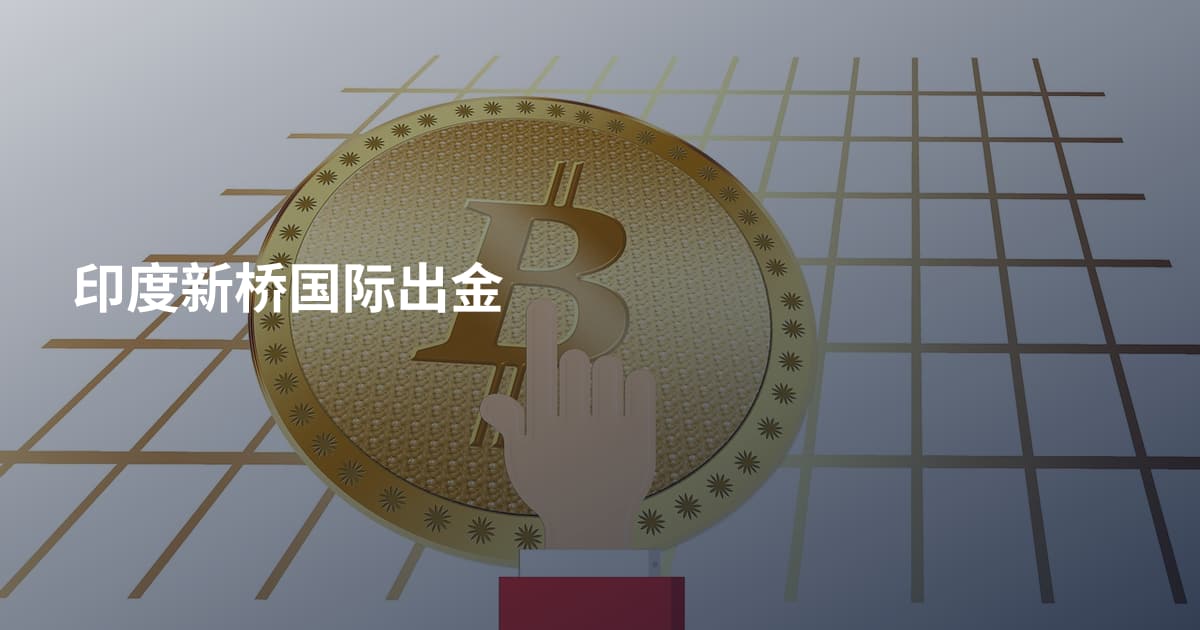 印度新桥国际出金