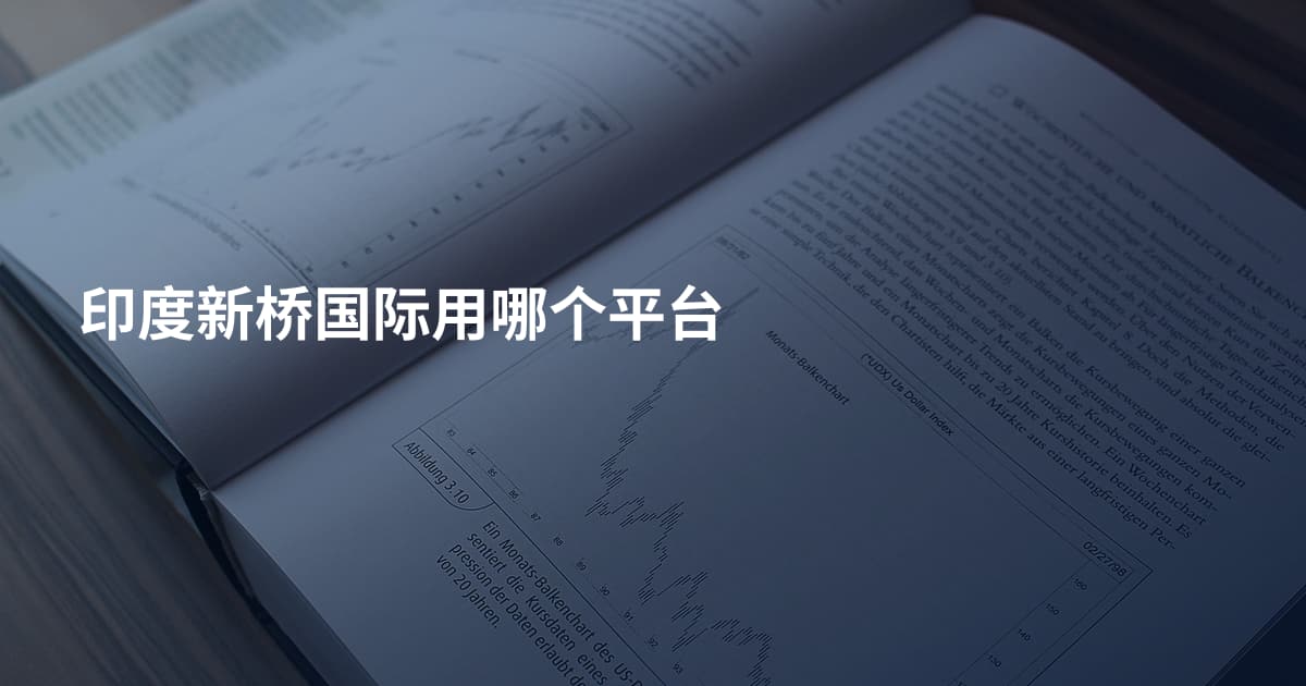 印度新桥国际用哪个平台