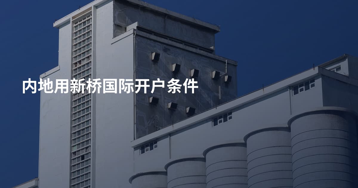 内地用新桥国际开户条件